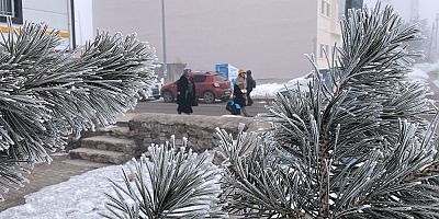 Sibirya soğuklarının etkisindeki Ardahan'da sis etkili oldu, ağaçlar kırağı tuttu